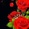 missmoyna644