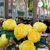 noorali_22_21