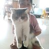 sumarni123_02