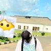 olaseyi00