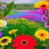 ibrahem.hawlere0