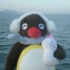 lamar_hellburgh14