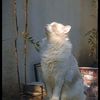 user904hpmw483
