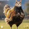 bup32