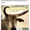 orlandoparedes613
