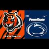 cincybengals513