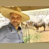 marciano.stefanin