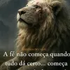 mayara30886