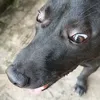 userkhoahocngu