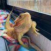 ourzoo3232
