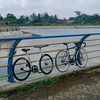 pecintafixiegear