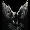 adarr_00