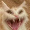 suuuuuubiiiiiiiii