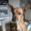 marinacerutti15