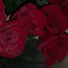 aas_.31