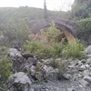 spiliopulos_panagiotis