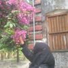 fahimajannat362