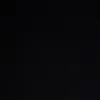 salvgm_2
