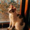 herkul.cat