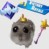 somrry_noob