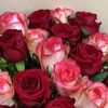 liliya_b_