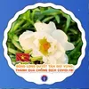 hoangthulinh58