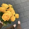 ward_695