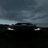 thefrogishere589
