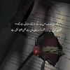 danialnadeem0162