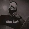 ekobotsky