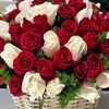 user8603229757561