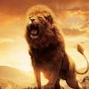 mohamed96708