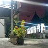 nelawulandari3