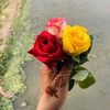 adrita_islam25