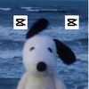 snoopyandaidan