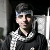 ib__313__ar