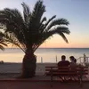 dinofielding