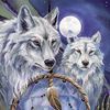 nativeproud63