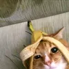_pringles_2403
