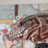 brisket_thetegu