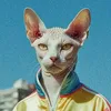 beerus881