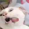 gx.y.zz_
