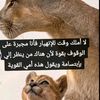 rayhana.rayh