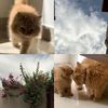 jmm_beautiful