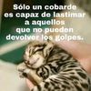 ladycat2612