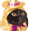 catsinhu