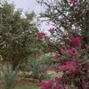 khayal_77__