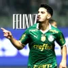 fdgx.setuz