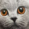 max_randomness