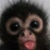 oylumpusx